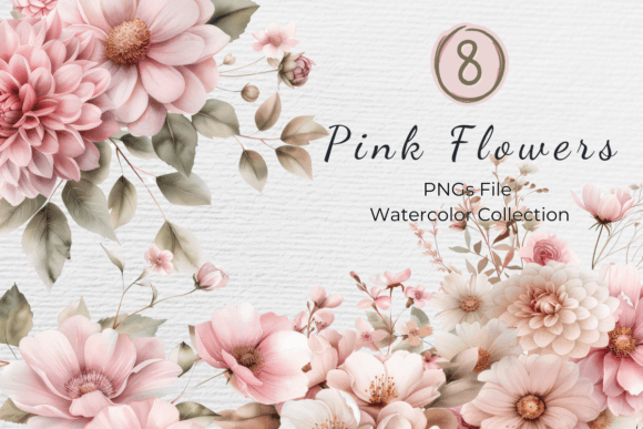 Blush Pink Floral Watercolor Illustrations: A Designer’s Review for Local Branding