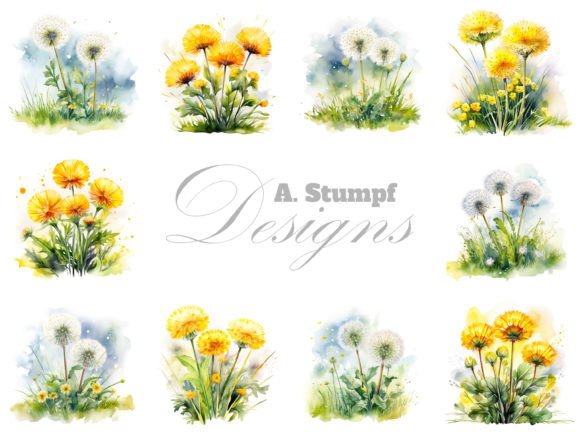Dandelion Flower Watercolor Clipart for Illustrations & Digital Sellers