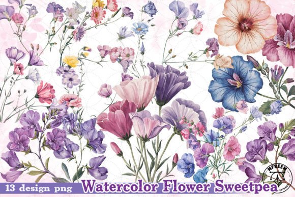 Elegant Watercolor Flower Sweetpea Clipart PNG for Local Brand Illustrations