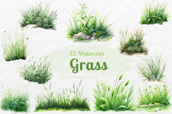 Grass Clipart Watercolor: A Fresh Illustration for Bloggers and Digital Publishers