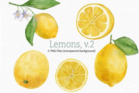 Lemon Watercolor Fruit Clipart Branch Adds Artistic Flair to Blog Illustrations