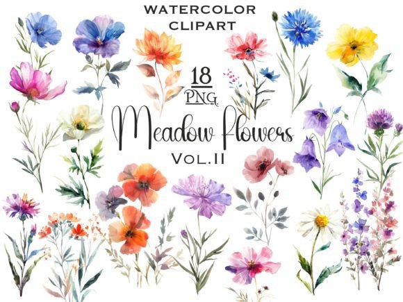 Meadow Wildflowers Watercolor Clipart V2 for Handmade Crafting & Cricut Design