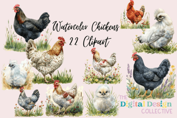 Watercolor Chickens Clipart PNG: A Brand Designer’s Review for Local Business Packaging & Branding