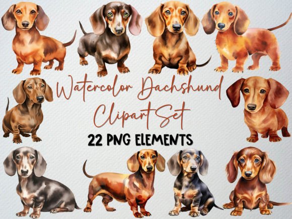 Watercolor Dachshund Clipart: A Brand Designer’s Review of Weiner Illustrations