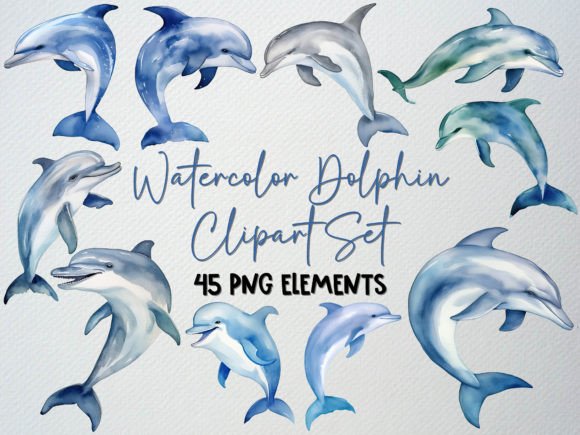 Watercolor Dolphin Clipart Set, 45 PNG Illustrations for Creative Sellers
