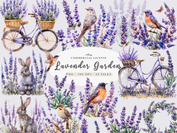 Watercolor Lavender PNG & Provence Illustrations for Soft, Elegant Branding