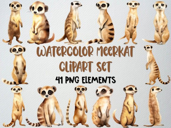 Watercolor Meerkat Clipart Set, 41 PNG: A Designer’s Review for Branding and Visual Projects