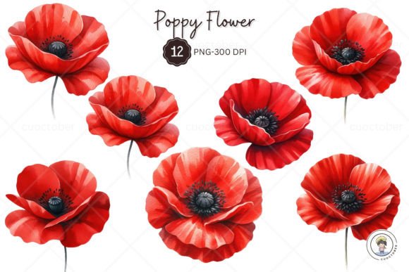 Watercolor Red Poppy Flower Clipart for Illustrations & Digital Product Sellers