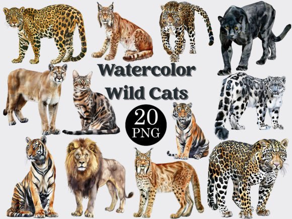Watercolor Wild Cats Illustrations: A Seller’s Review for Etsy & Digital Product Creation