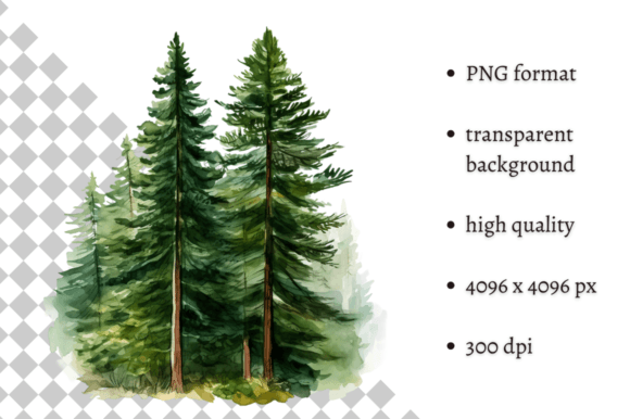 Watercolor Woodland Pine Tree Illustrations for Crafting & Handmade Business